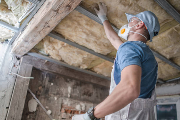 Best Insulation Maintenance and Repair in Good Hope, CA