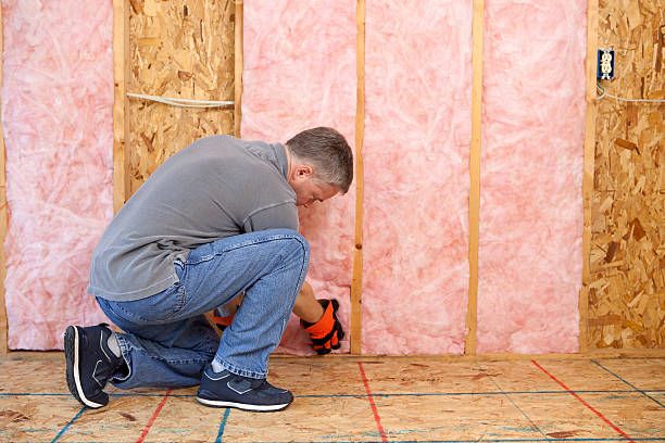 Best Commercial Insulation in Good Hope, CA